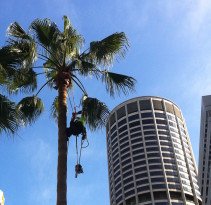 IMG_0260 (2)