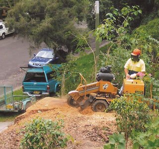 img-stump-grinding-1