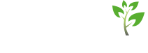 Sydney Tree Solutions